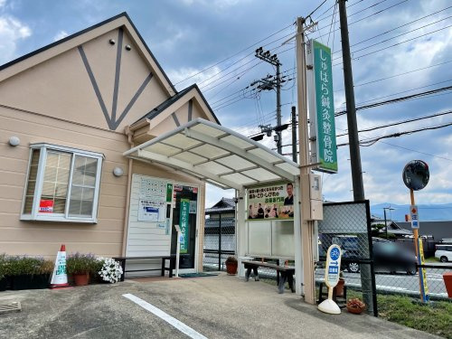 【整骨院】しゅはら鍼灸整骨院まで343ｍ