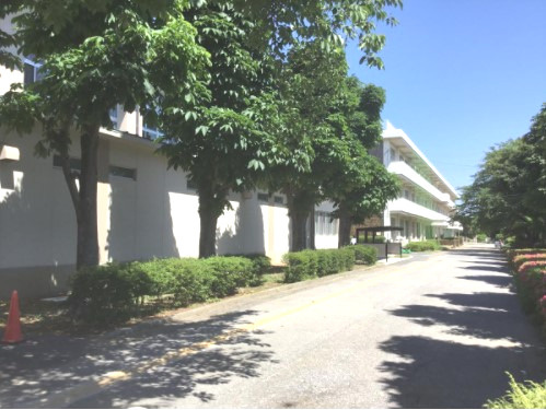 【小学校】新堀小学校まで750ｍ