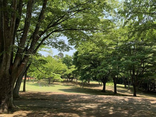【公園】ゆかりの森まで918ｍ