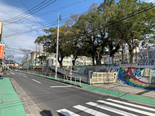 【小学校】鹿児島市立宇宿小学校まで1276ｍ