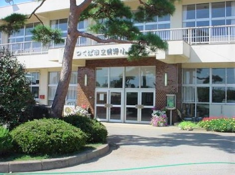 【小学校】つくば市立前野小学校まで260ｍ