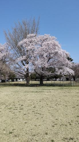 【公園】神立公園まで2526ｍ