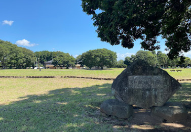 【公園】姥山貝塚公園まで720ｍ