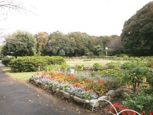 【公園】芹沢公園まで1363ｍ