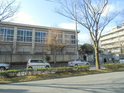 【小学校】京都市立紫明小学校まで491ｍ