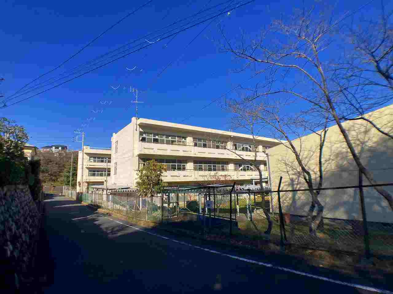 【小学校】二宮町立一色小学校まで1493ｍ