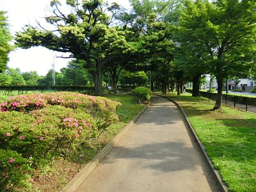 【公園】青葉台公園まで710ｍ