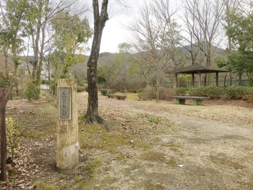 【公園】もみじが丘公園まで894ｍ