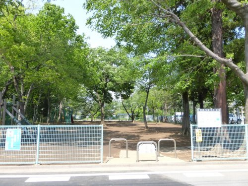 【公園】星の森児童遊園地まで60ｍ