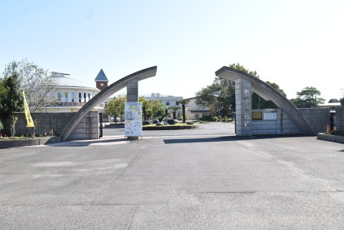 【小学校】鹿屋市立細山田小学校まで95ｍ