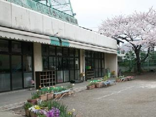 【保育園】目黒区立みどりがおかこども園まで154ｍ