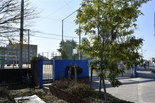 【中学校】西宮市立甲武中学校まで801ｍ