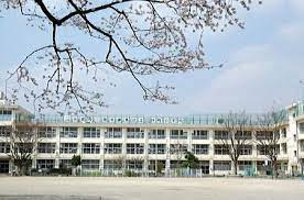 【小学校】仲町小学校まで231ｍ