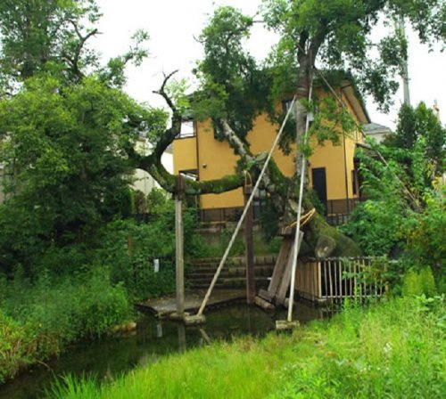【公園】叶谷公園まで64ｍ