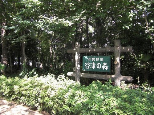 【公園】谷津の森公園まで940ｍ