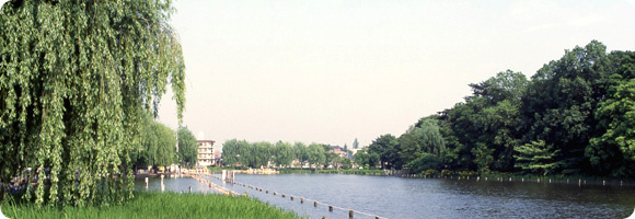 【公園】石神井公園まで934ｍ