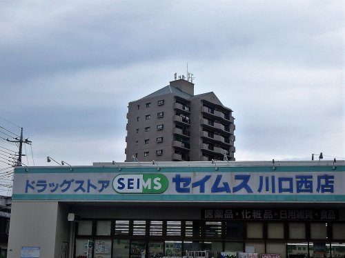 【ドラッグストア】ドラッグセイムス　川口西店まで663ｍ