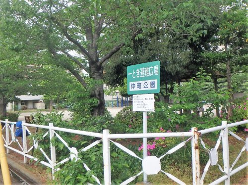 【公園】仲町公園まで815ｍ