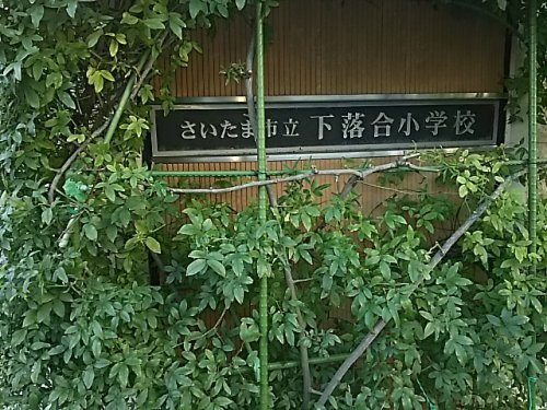 【小学校】さいたま市立下落合小学校まで1125ｍ