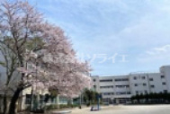 【小学校】川越市立大塚小学校まで740ｍ