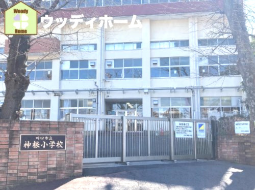 【小学校】川口市立神根小学校まで950ｍ