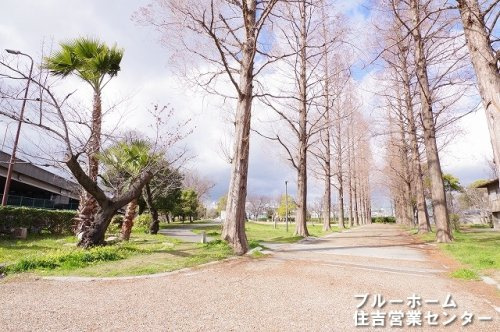 【公園】三宝公園まで506ｍ