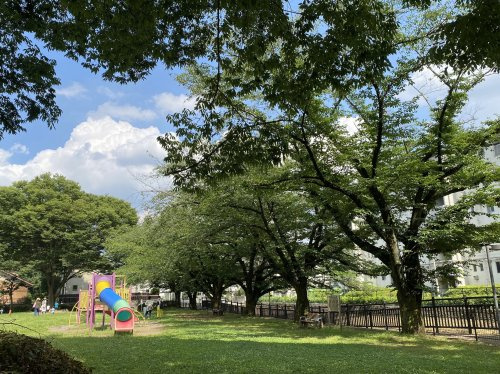 【公園】朝霧公園まで530ｍ