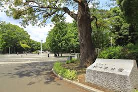 【その他】代々木公園　原宿門まで1184ｍ