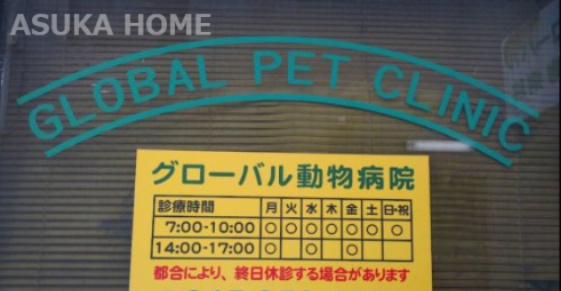 【動物病院】グローバル動物病院まで1031ｍ