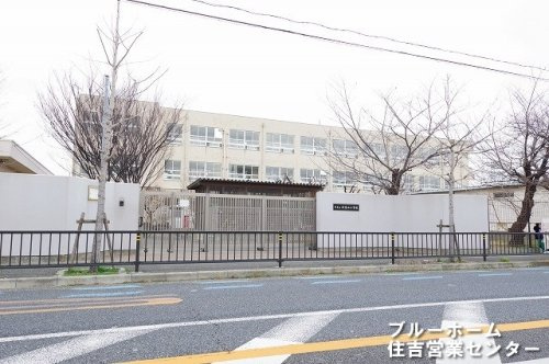 【小学校】堺市立浅香山小学校まで140ｍ