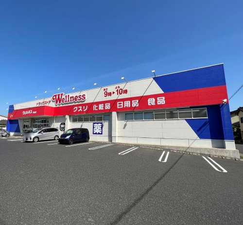 【ドラッグストア】ドラッグストアウェルネス　気高店まで1044ｍ