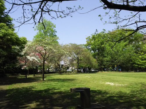 【保育園】越谷市立緑の森公園保育所まで1040ｍ