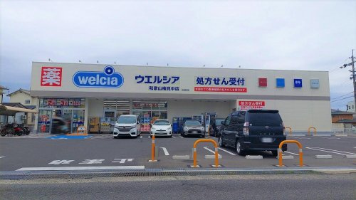 【ドラッグストア】ウエルシア和歌山楠見中店まで496ｍ