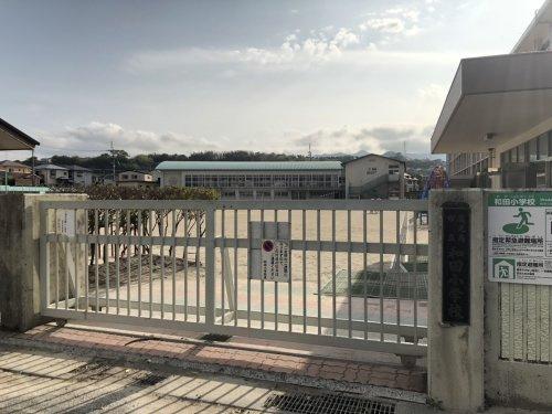 【小学校】鹿児島市立和田小学校まで2305ｍ