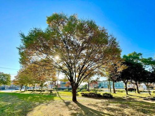 【公園】未来公園まで390ｍ