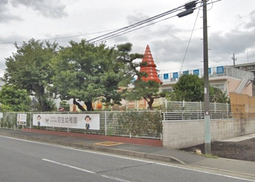【幼稚園】弥生幼稚園まで801ｍ