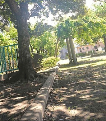 【公園】幕張町あんず公園まで499ｍ