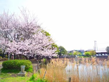 【公園】桜小路公園まで1347ｍ