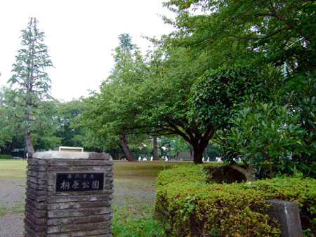 【公園】桐原公園まで378ｍ
