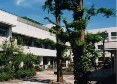 【中学校】横浜市立　秋葉中学校まで524ｍ