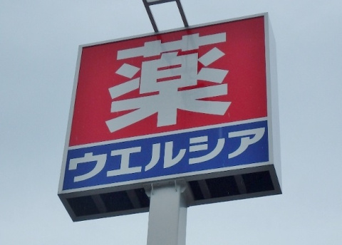 【ドラッグストア】ウエルシア薬局栃木片柳店まで1225ｍ