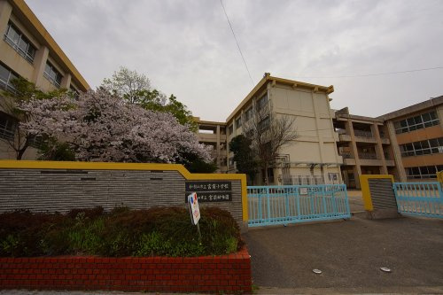 【小学校】宮前小学校まで1226ｍ