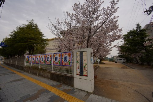 【幼稚園】和歌山市立宮前幼稚園まで1330ｍ