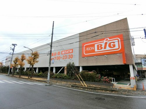 【スーパー】ザ・ビッグ　相模原東橋本店まで254ｍ