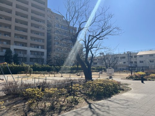 【公園】希望丘公園まで293ｍ