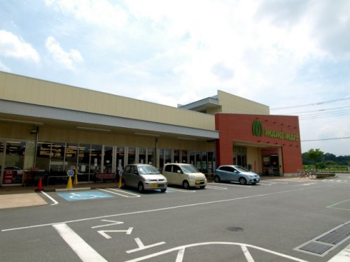 【スーパー】マミーマート沢口町店まで1519ｍ