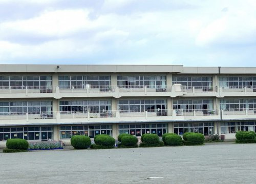 【小学校】深谷市立　花園小学校まで244ｍ