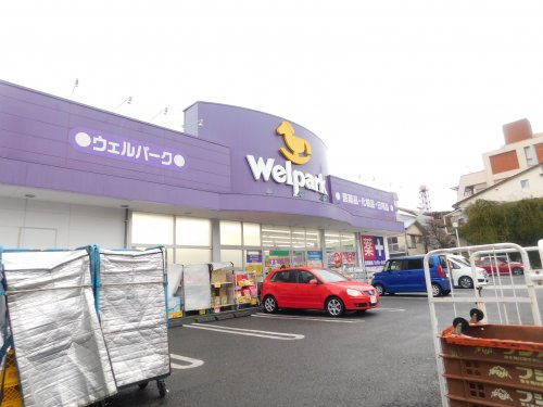 【ドラッグストア】ウェルパーク桜新町まで522ｍ