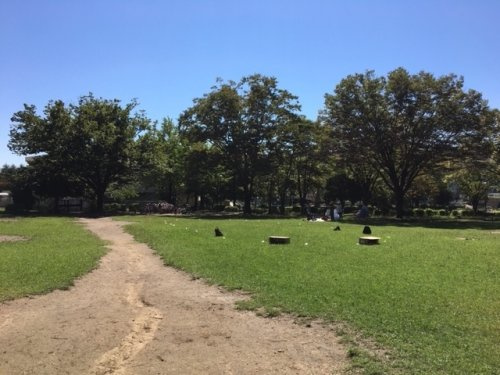 【公園】鶴川中央公園まで280ｍ