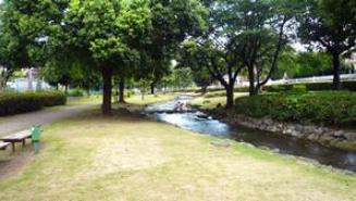 【公園】東大宮親水公園まで1339ｍ